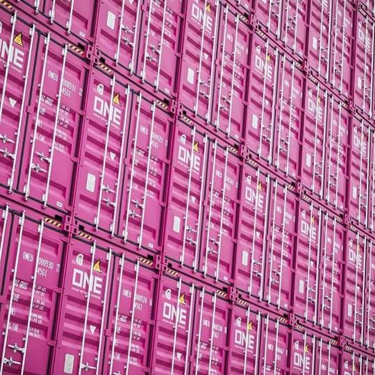 “Container Rosa” é o tema da Aurora EADI para campanha, em Sorocaba (SP ...